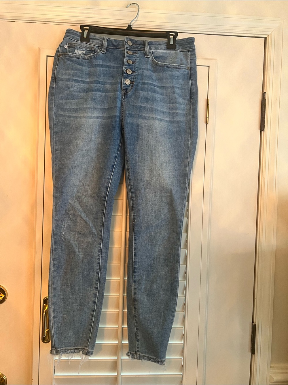 Judy Blue Button-Fly Skinny Jeans